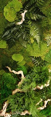 Цветник Цв028