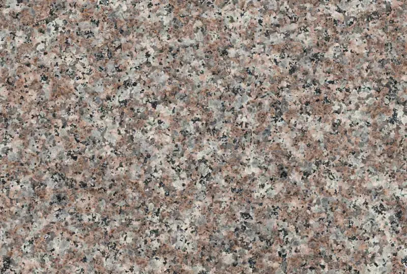 G-664